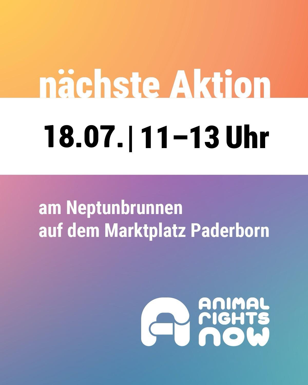 Flyer, mit 3 waagerecht geteilten Farbbereichen: Oben ein oranger Verlauf mit dem Text "nächste Aktion". In der Mitte eine weiße Fläche mit schwarzer Schrift: "18.07. 11-13 Uhr". Darunter eine Fläche mit einem Farbverlauf von grünblau zu rotviolett mit dem weißen Text: am Neptunbrunnen auf dem Marktplatz Paderborn". Unten rechts ein Logo mit runden, fetten Buchstaben: "Animal Rights Now".